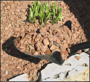 One Shot Shovel edging and shaping a garden bed
